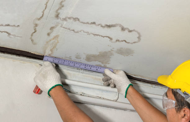 Reliable Basement Flood Cleanup contractor in Hazel Park, MI by Aqua Guard Water Damage